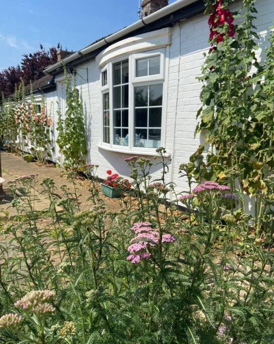 Field Cottage Whittlesey Εξωτερικό φωτογραφία