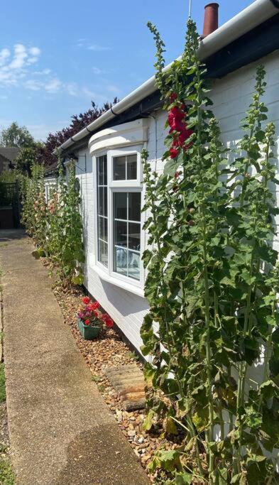 Field Cottage Whittlesey Εξωτερικό φωτογραφία