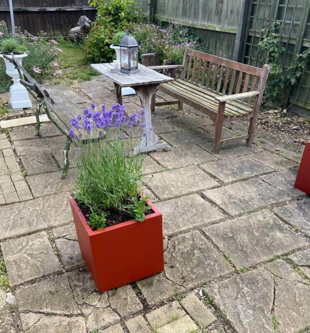 Field Cottage Whittlesey Εξωτερικό φωτογραφία